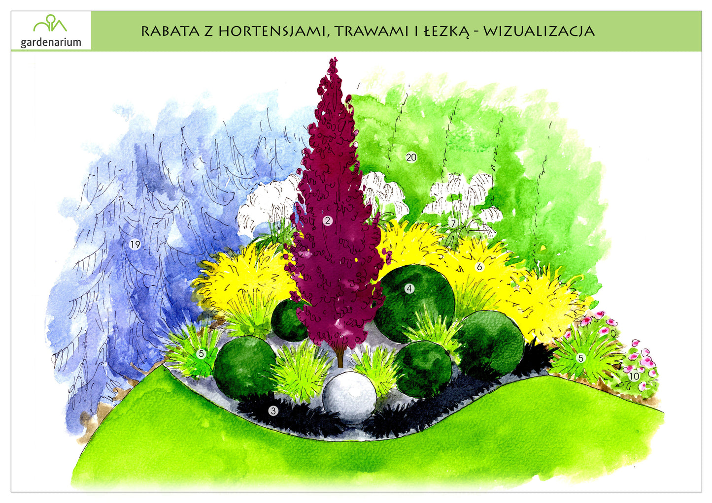 Nr 0014 Rabata z hortensjami, trawami i łezką