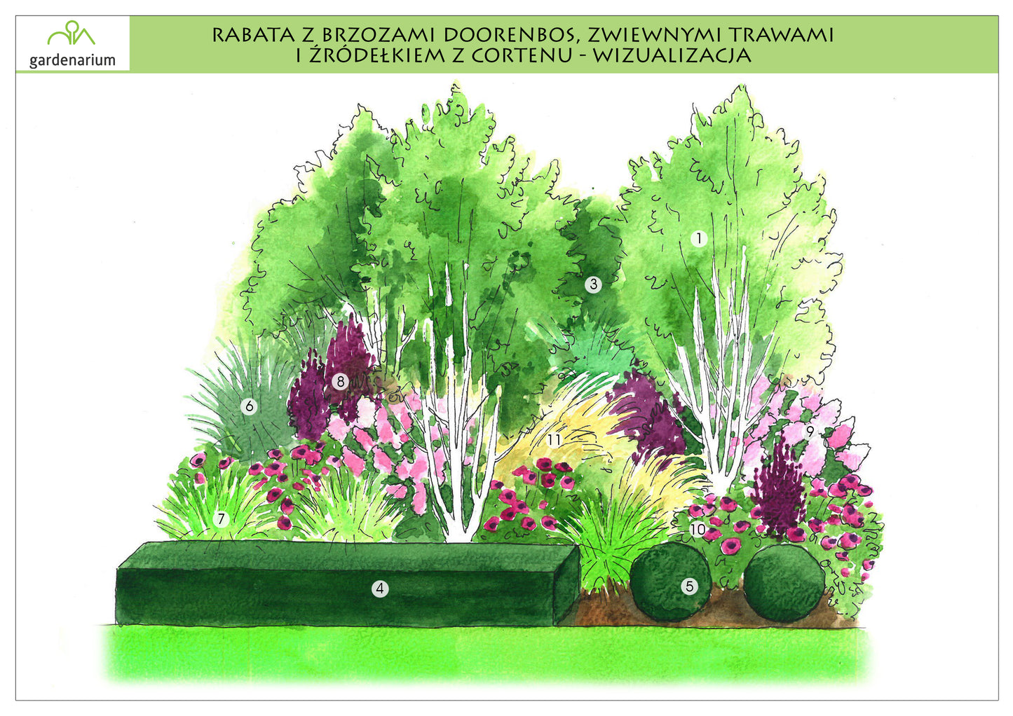 Nr 0015 Rabata z brzozami Doorenbos, lustrem, zwiewnymi trawami i źródełkiem z cortenu