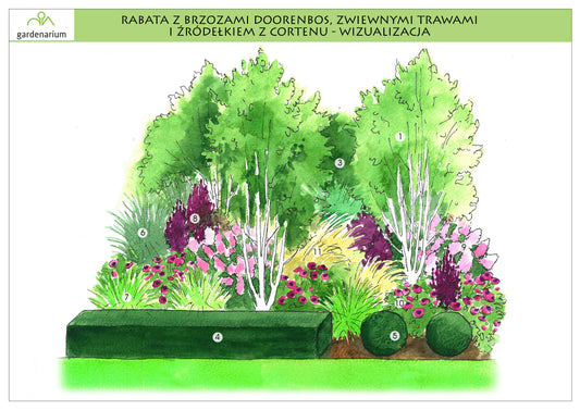 Nr 0015 Rabata z brzozami Doorenbos, lustrem, zwiewnymi trawami i źródełkiem z cortenu