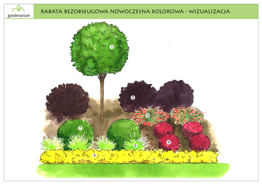 Nr 0017 Rabata bezobsługowa nowoczesna kolorowa