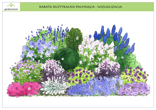 Nr 0019 Rabata rystykalna pachnąca