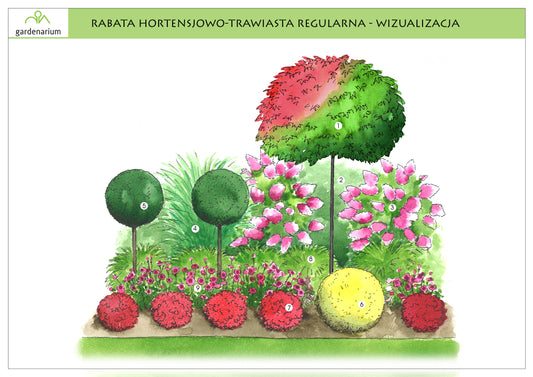 Nr 0020 Rabata hortensjowo-trawiasta regularna