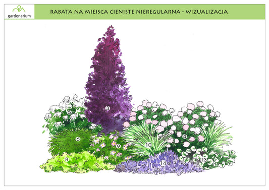 Nr 0001 Rabata na miejsca cieniste nieregularna